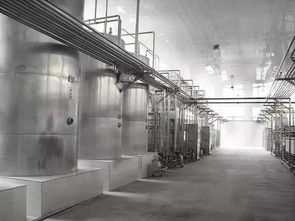 招商令 調(diào)味品 食醋 廠投資選址